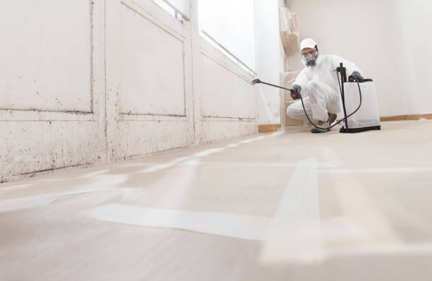 24/7 Emergency Mold Remediation experts in Hope Mills, NC